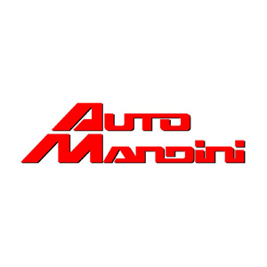 Auto Mandini